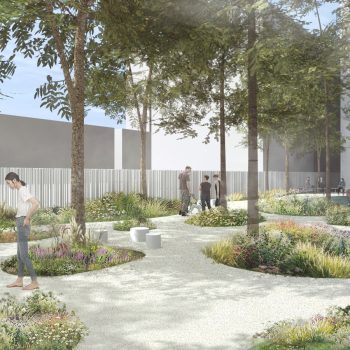景觀學區雙加值 葳格文教特區百米花園宅登場