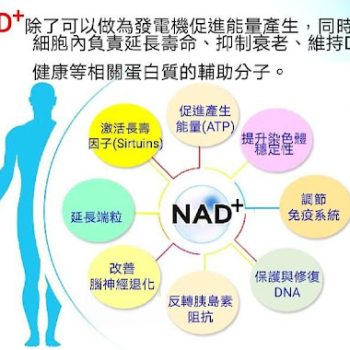 青春逆齡新選擇，科學家發現比NMN更強而有力的抗衰老物質NADS